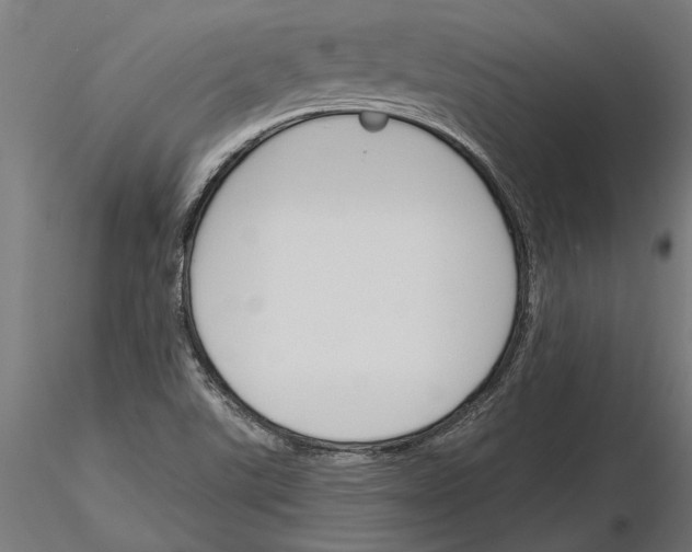 X0000115251507200912111105