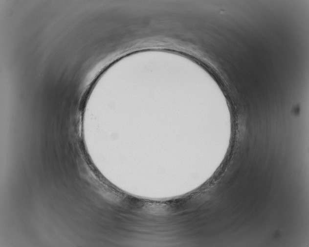 X0000115251509200912111105