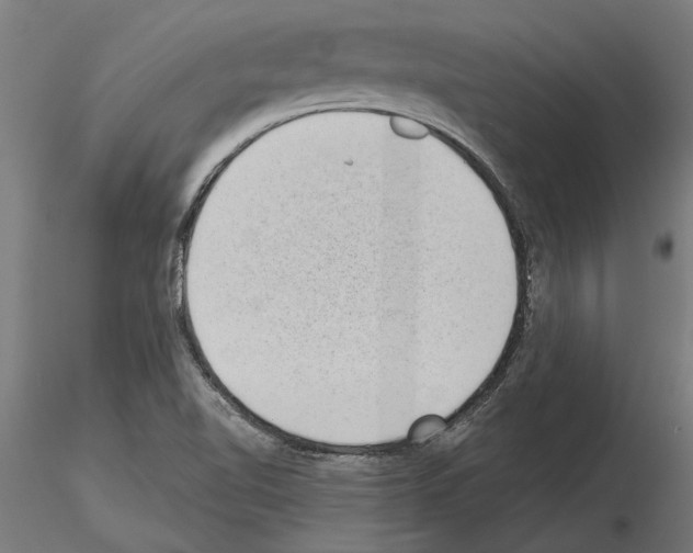 X0000115251510200912111105