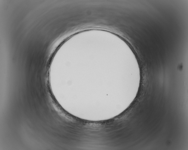 X0000115251511200912111105