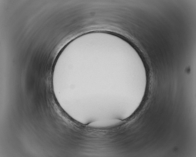 X0000115251513200912111105