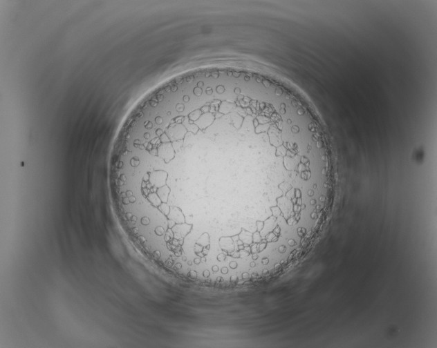 X0000115251514200912111105