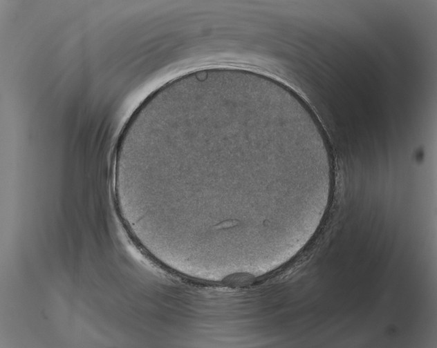 X0000115251515200912111105