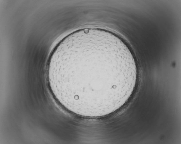 X0000115251517200912111105