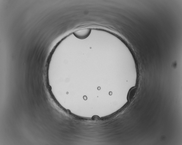 X0000115251518200912111105