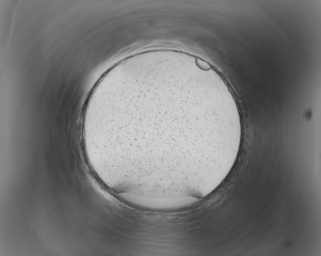 X0000115251519200912111105