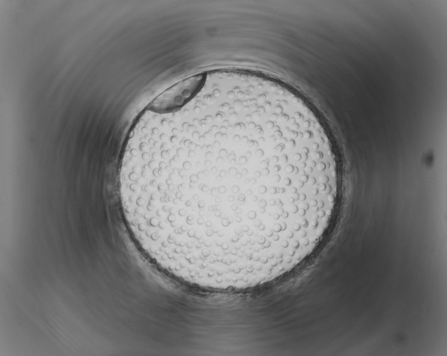 X0000115251521200912111105