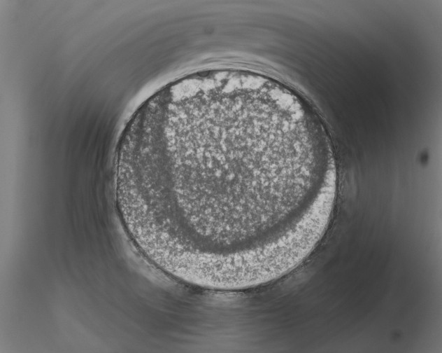 X0000115251522200912111105