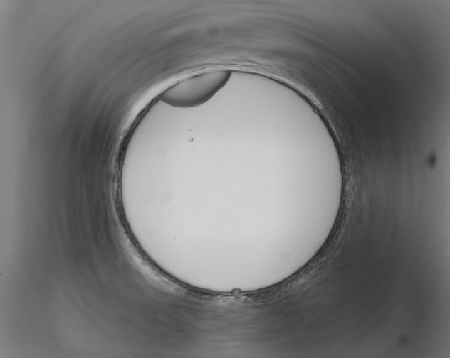 X0000115251523200912111105