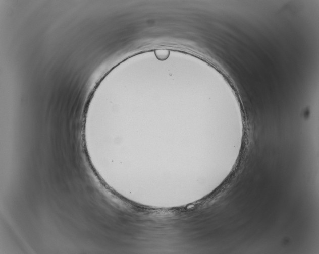 X0000115251525200912111105