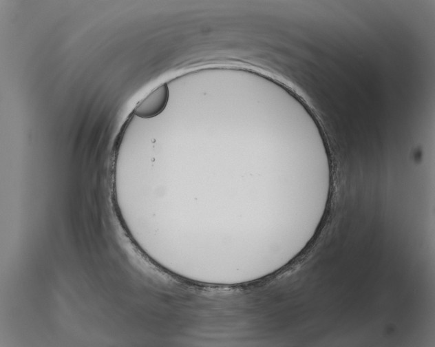 X0000115251526200912111105