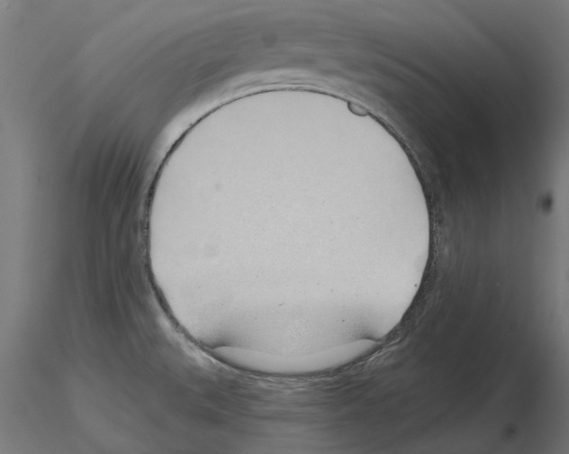 X0000115251527200912111105