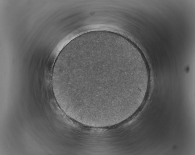 X0000115251529200912111105