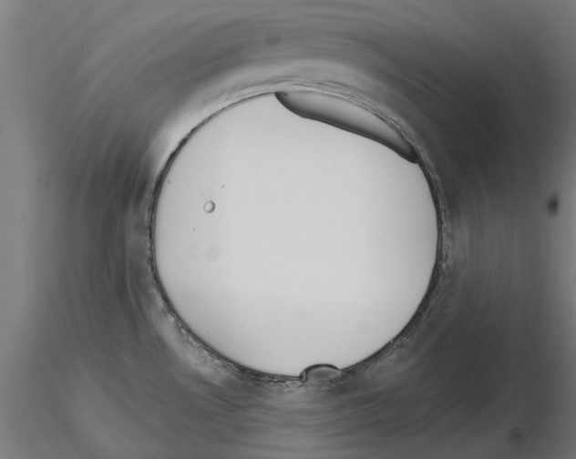 X0000115251530200912111105