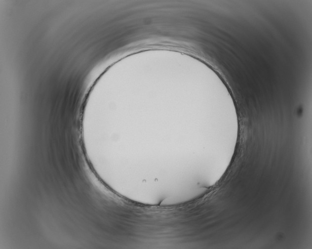 X0000115251531200912111105