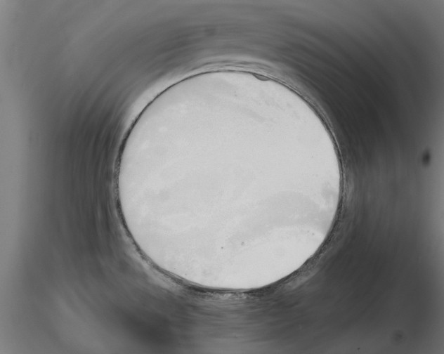 X0000115251533200912111105