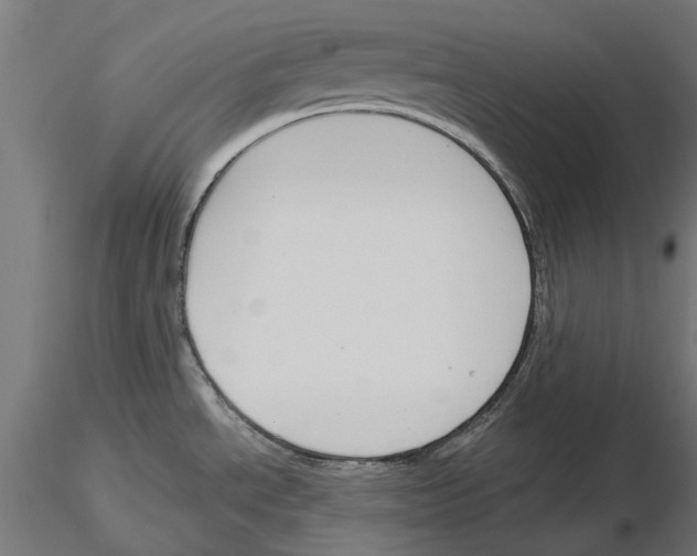 X0000115251534200912111105