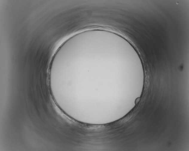 X0000115251535200912111105