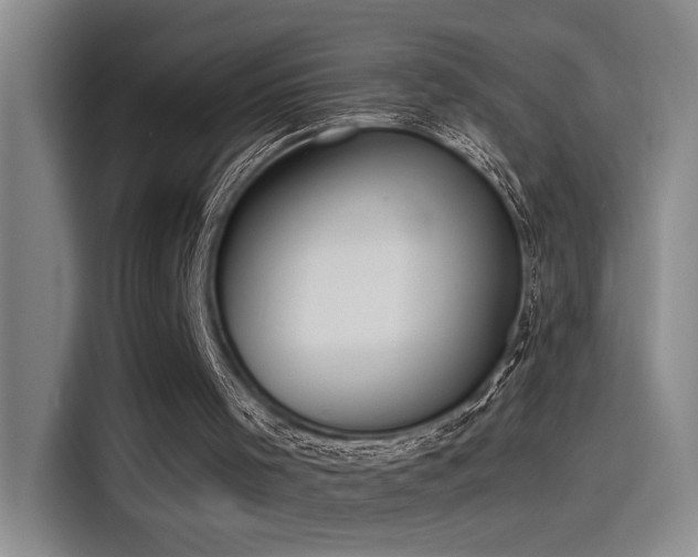 X0000115260001200911061248