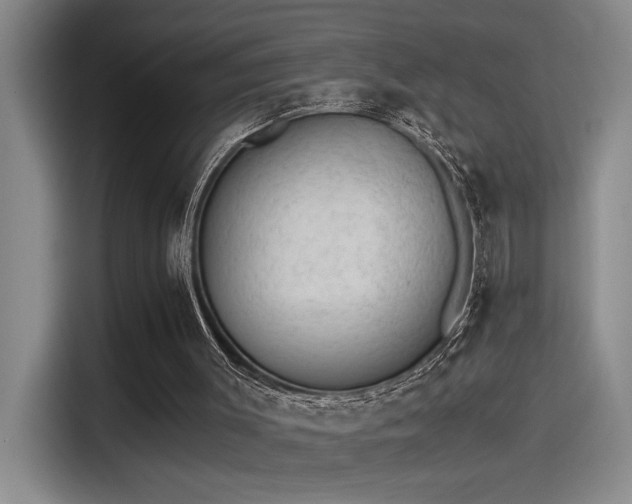 X0000115260003200911061248