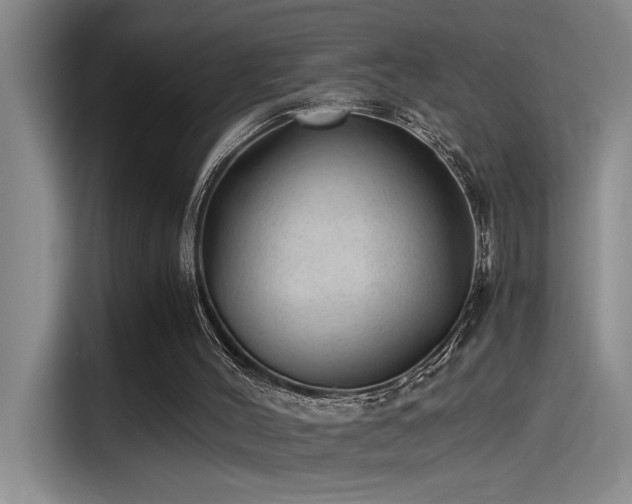 X0000115260004200911061248