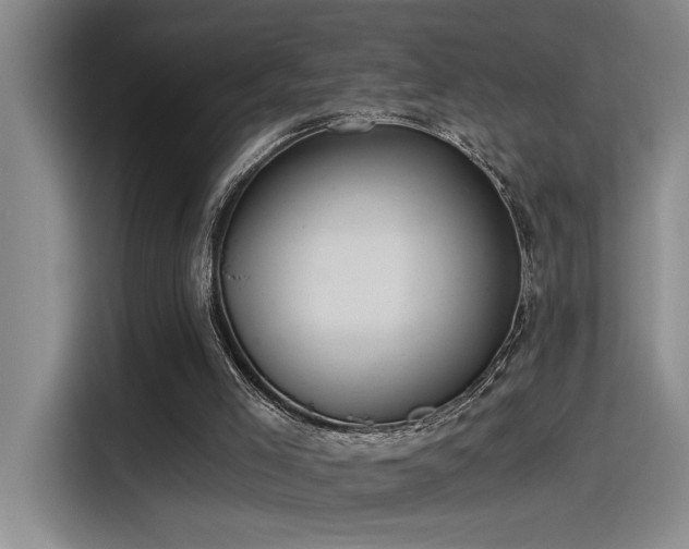 X0000115260005200911061248