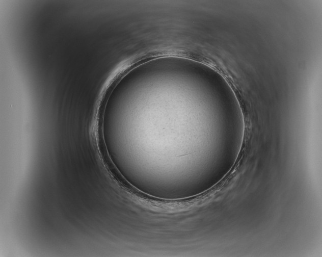 X0000115260006200911061248