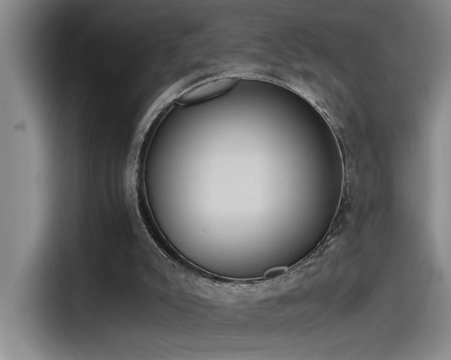 X0000115260007200911061248