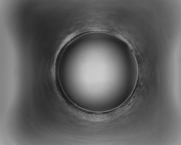 X0000115260008200911061248