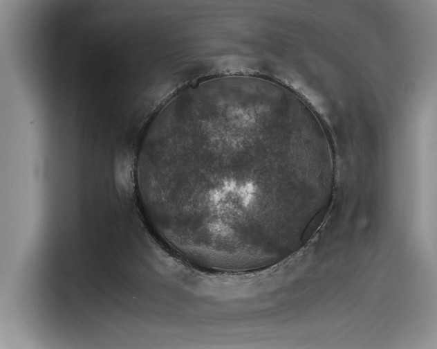 X0000115260009200911061248