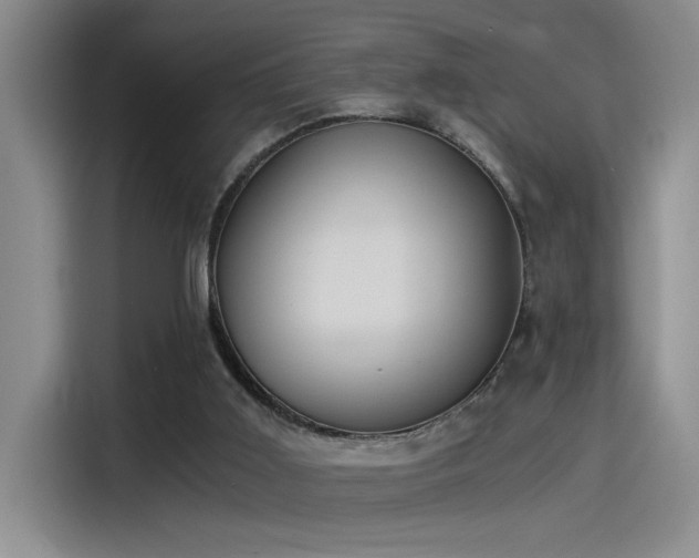 X0000115260011200911061248