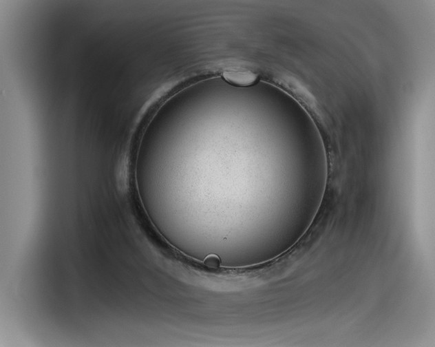 X0000115260012200911061248