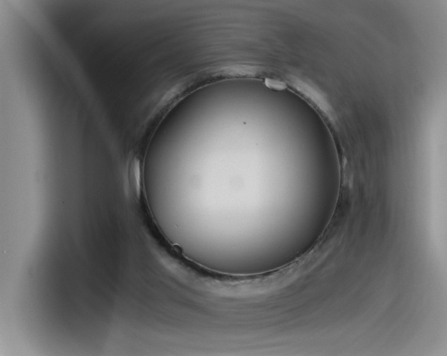X0000115260013200911061248