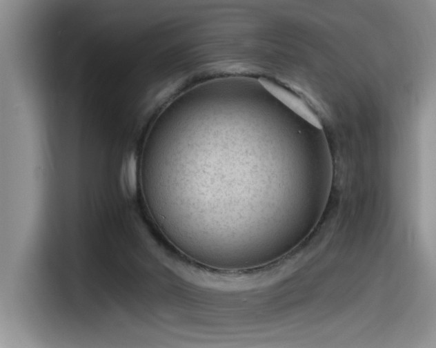 X0000115260014200911061248