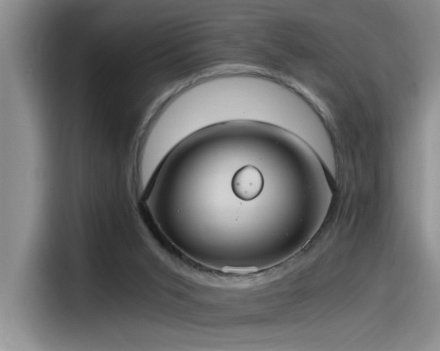 X0000115260015200911061248