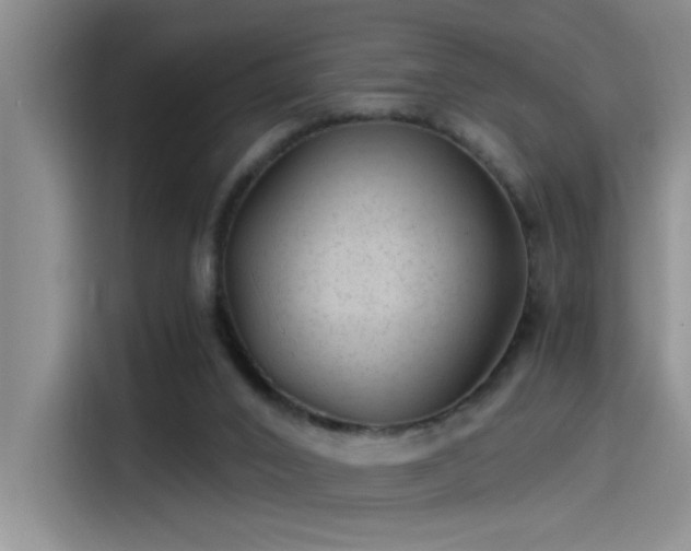 X0000115260016200911061248