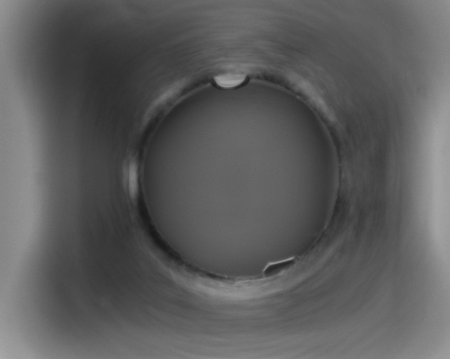 X0000115260019200911061248