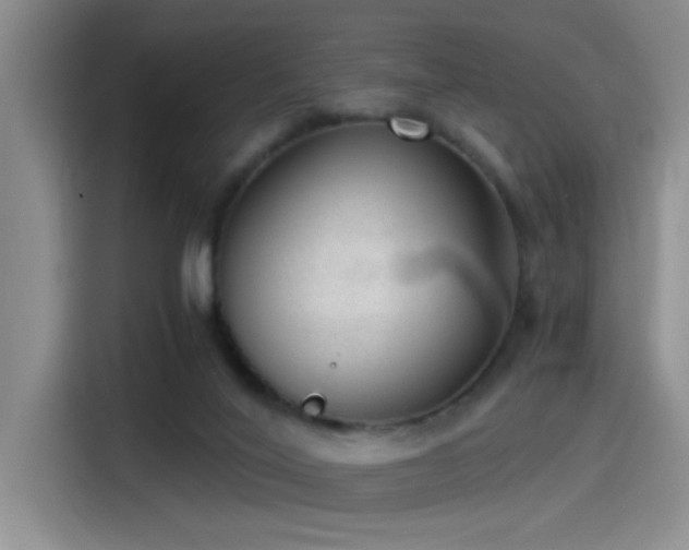 X0000115260020200911061248