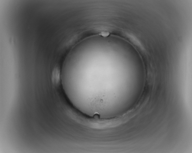 X0000115260021200911061248