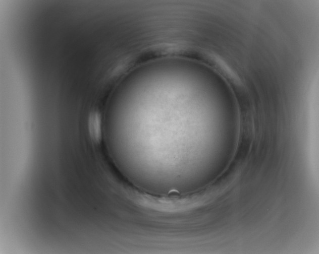 X0000115260022200911061248