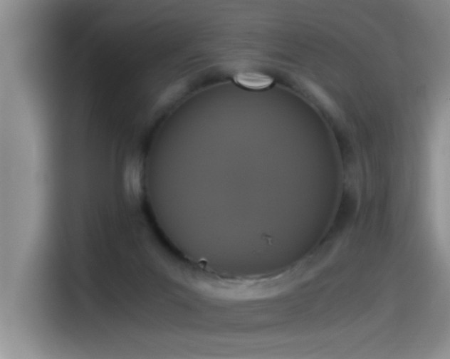 X0000115260023200911061248