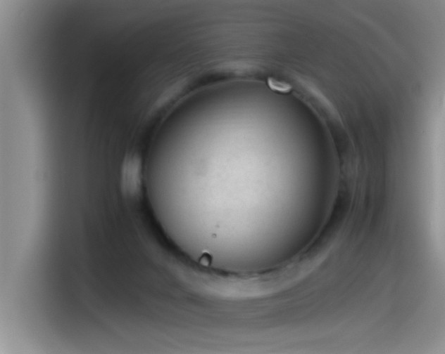 X0000115260024200911061248