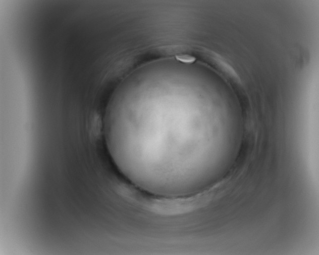 X0000115260025200911061248