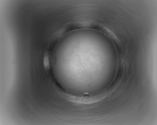 X0000115260026200911061248