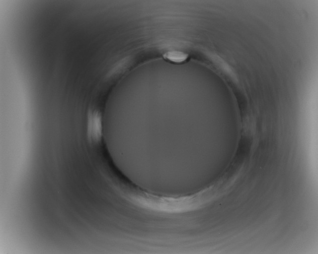X0000115260027200911061248