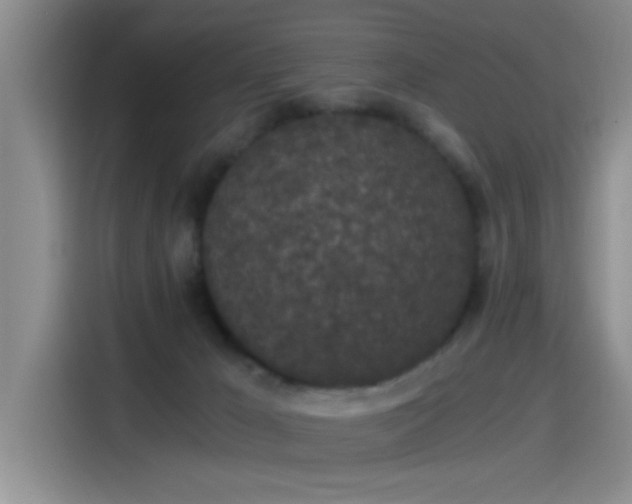 X0000115260029200911061248