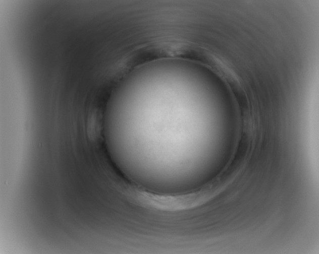 X0000115260030200911061248