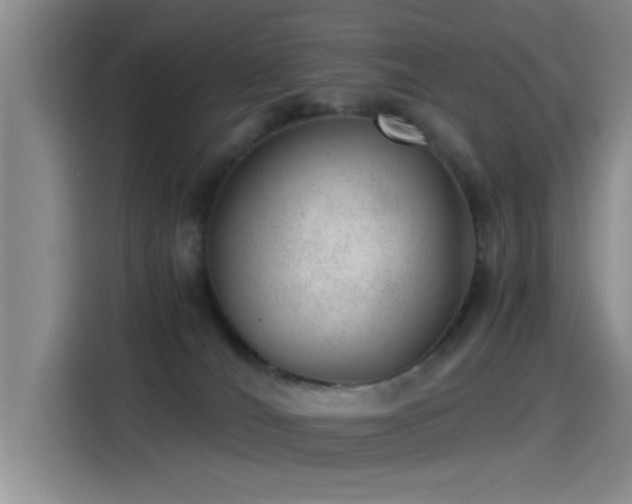 X0000115260036200911061248