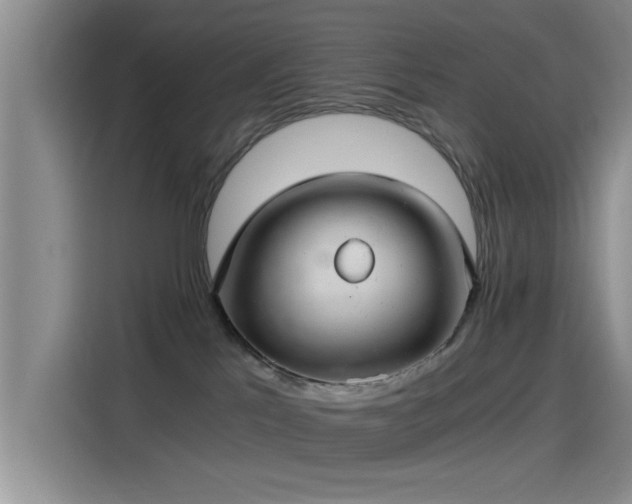 X0000115260041200911061247