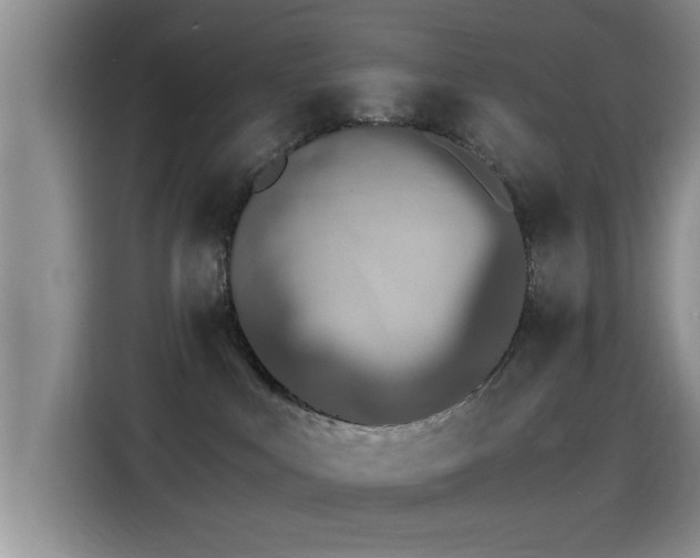 X0000115260043200911061247